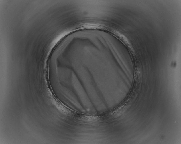 X0000088851427200706291445