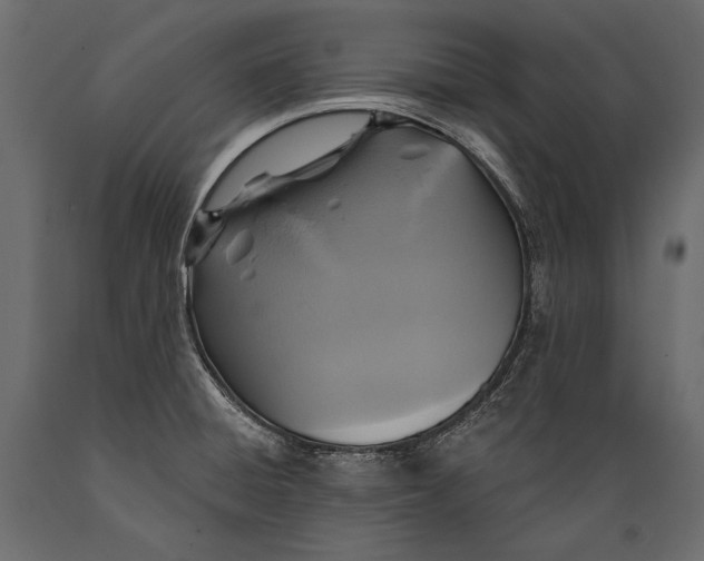 X0000088851428200706291445