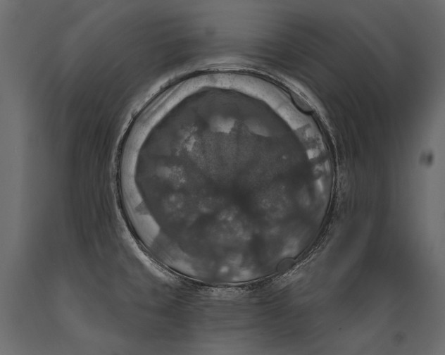 X0000088851429200706291445