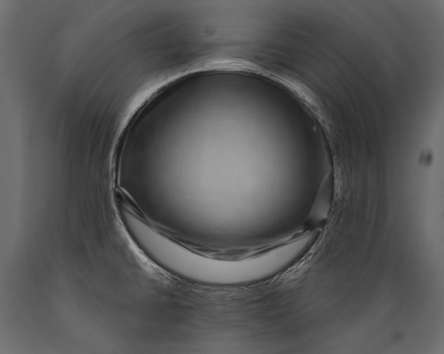 X0000088851430200706291445