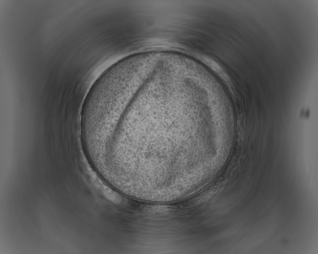 X0000088851431200706291445