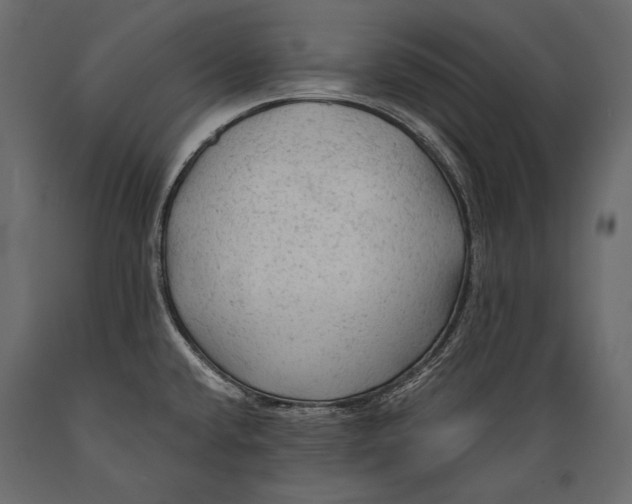 X0000088851432200706291445