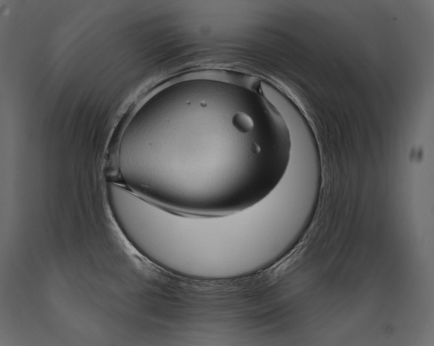 X0000088851434200706291445