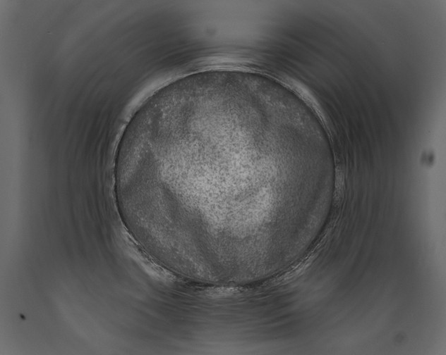 X0000088851435200706291445