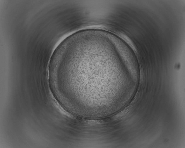 X0000088851436200706291445