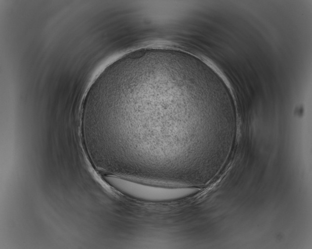 X0000088851437200706291445