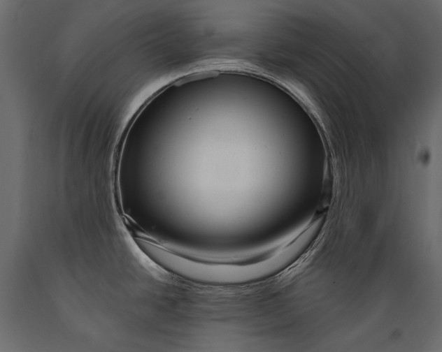 X0000088851438200706291445