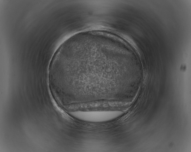 X0000088851439200706291445