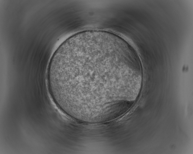 X0000088851440200706291445