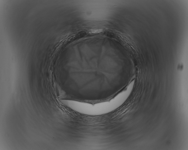 X0000088851441200706291444