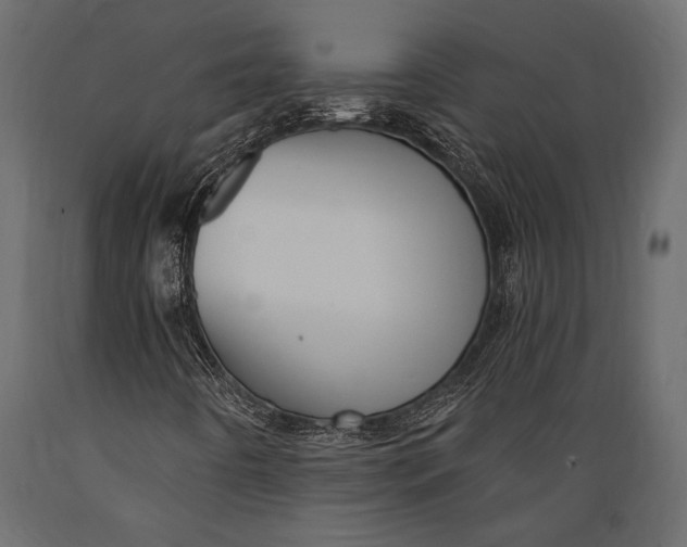 X0000088851442200706291444