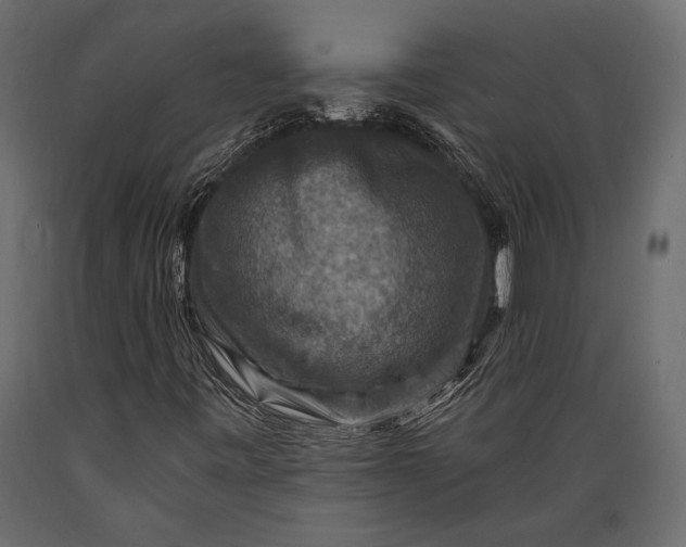 X0000088851443200706291444