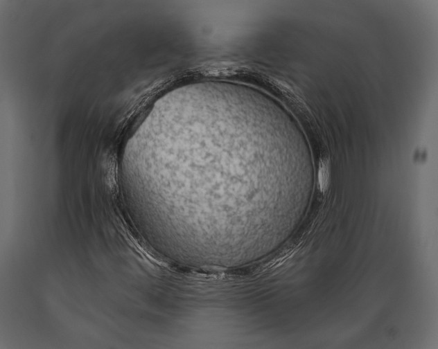 X0000088851444200706291444