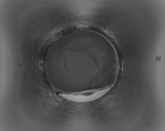 X0000088851445200706291444