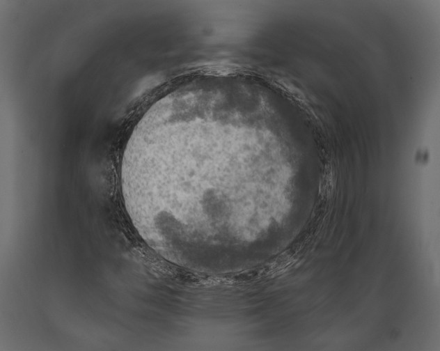 X0000088851446200706291444