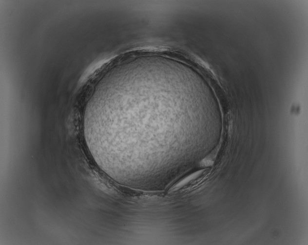 X0000088851448200706291444