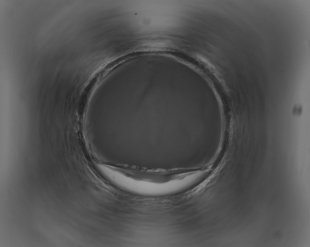 X0000088851449200706291444