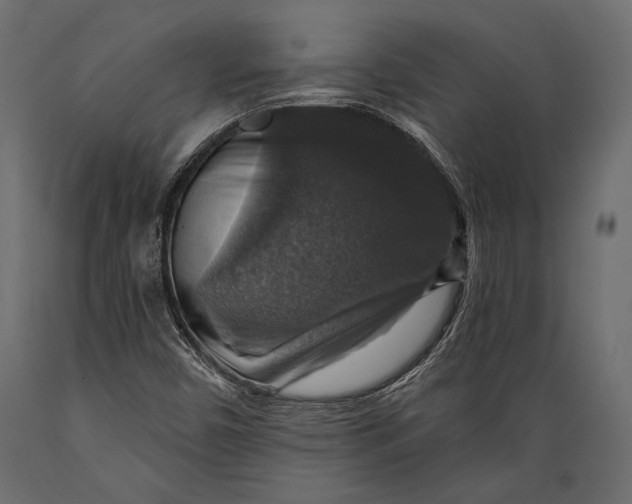 X0000088851450200706291444