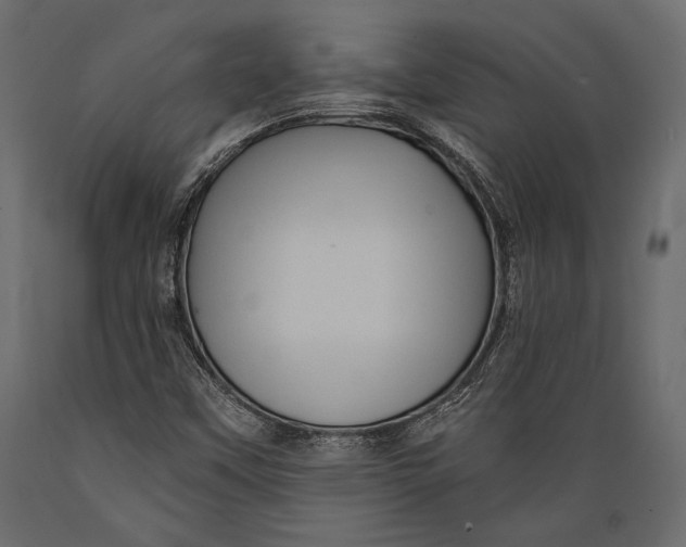 X0000088851451200706291444