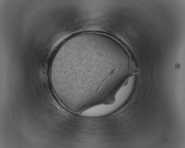 X0000088851452200706291444