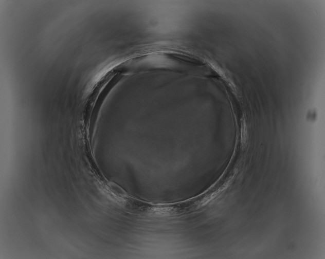 X0000088851453200706291444