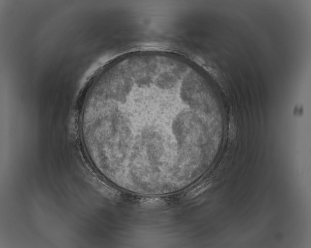 X0000088851454200706291444