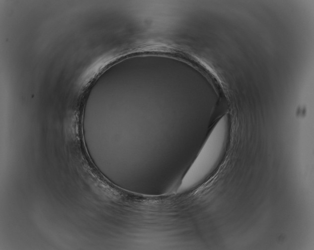 X0000088851455200706291444