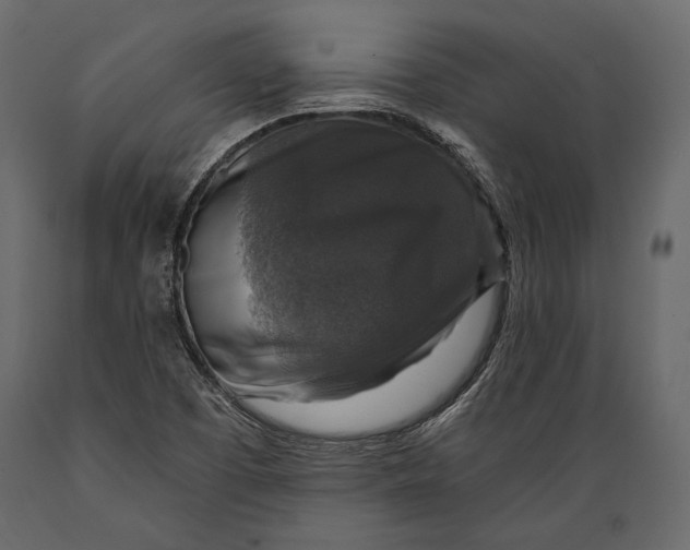 X0000088851457200706291444