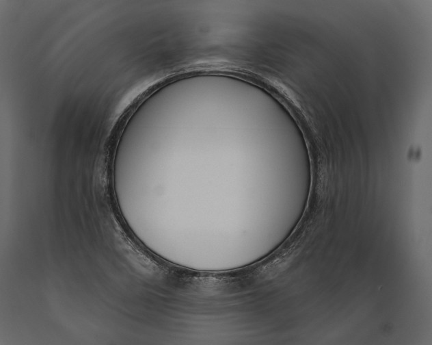 X0000088851458200706291444