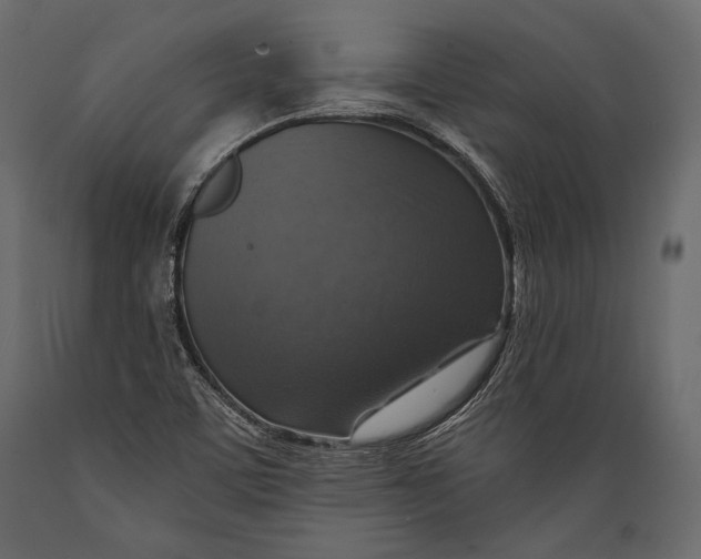 X0000088851459200706291444