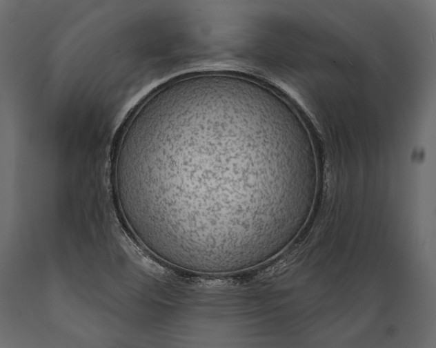 X0000088851460200706291444