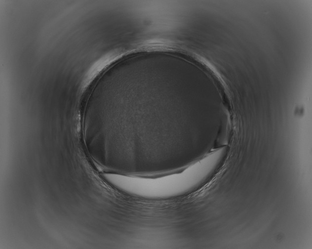 X0000088851461200706291444