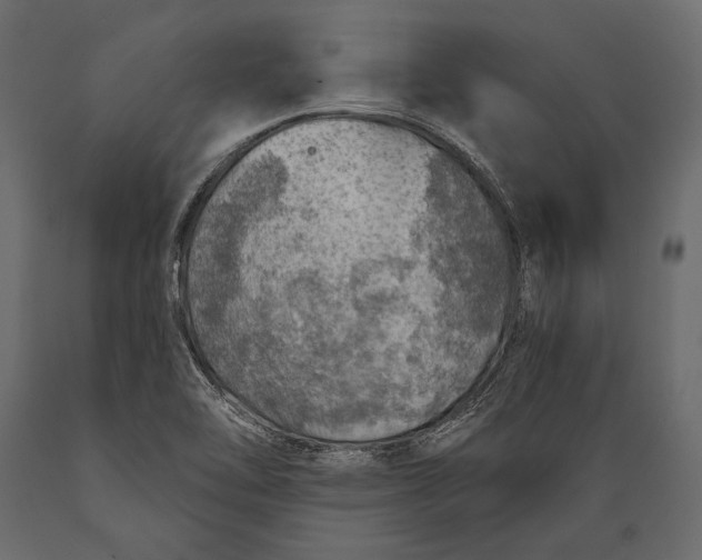 X0000088851462200706291444