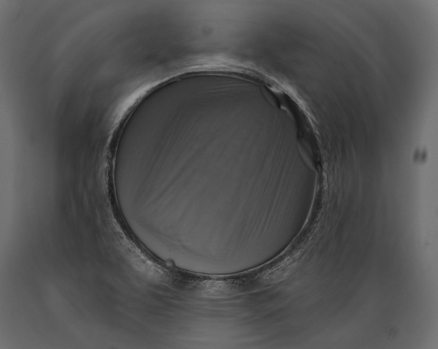 X0000088851463200706291444