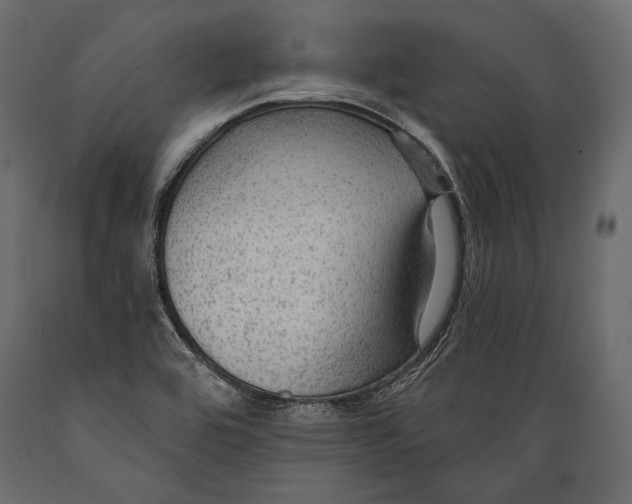 X0000088851464200706291444