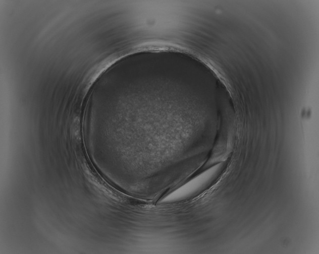 X0000088851465200706291444