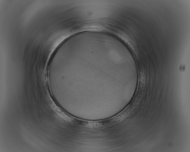 X0000088851466200706291444