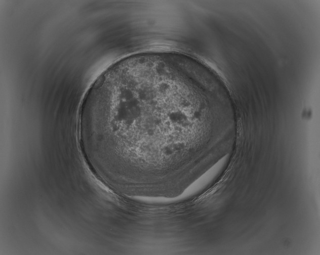 X0000088851467200706291444