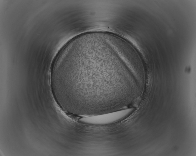 X0000088851468200706291444