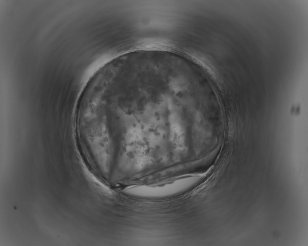 X0000088851471200706291444