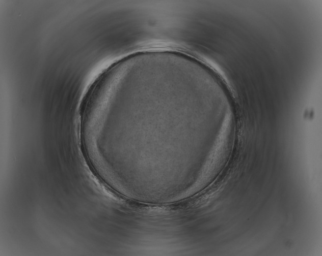 X0000088851472200706291444