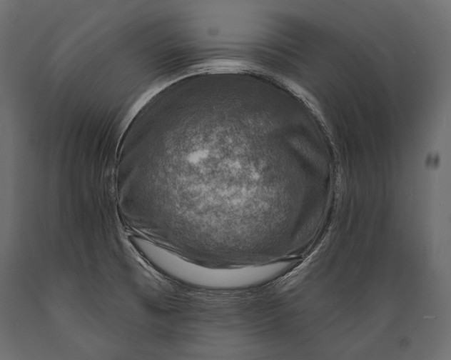 X0000088851473200706291444