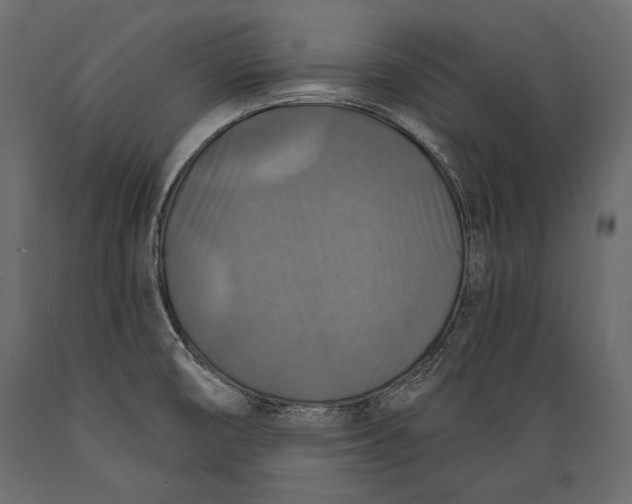 X0000088851474200706291444