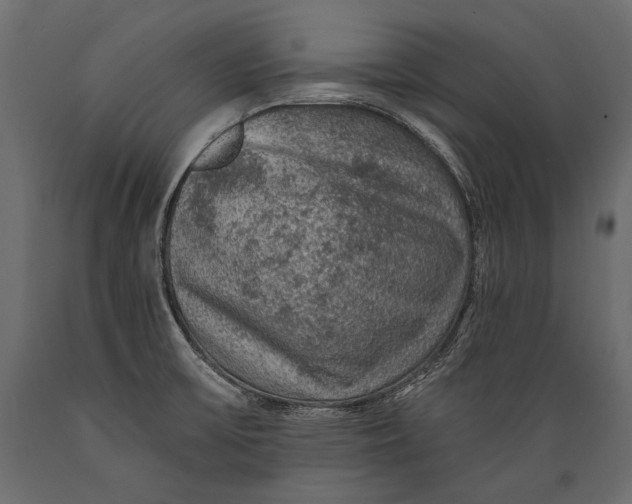 X0000088851475200706291444