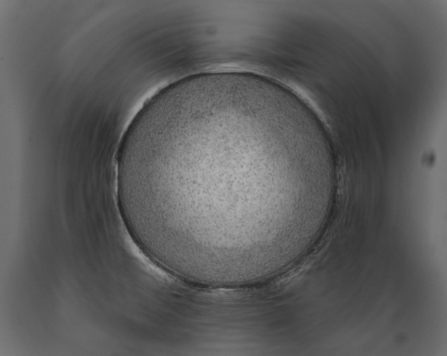 X0000088851476200706291444