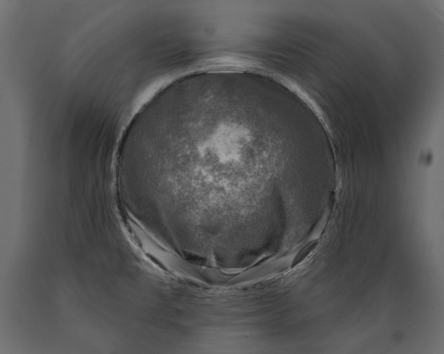 X0000088851477200706291444