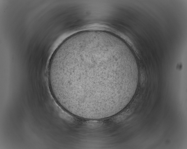 X0000088851478200706291444