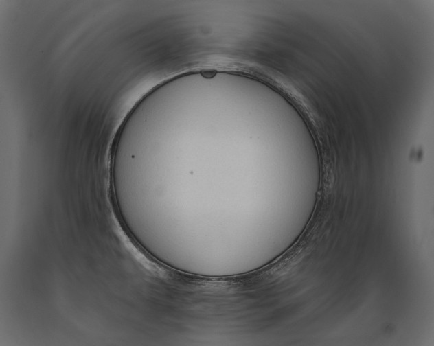 X0000088851479200706291444