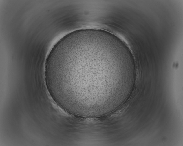 X0000088851480200706291444