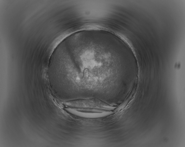 X0000088851481200706291444